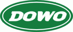 Pozycjonowanie strony firmy DOWO